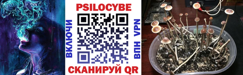 магазин продажи наркотиков Мурманск МЕГА сайт Псилоцибиновые грибы ЛСД